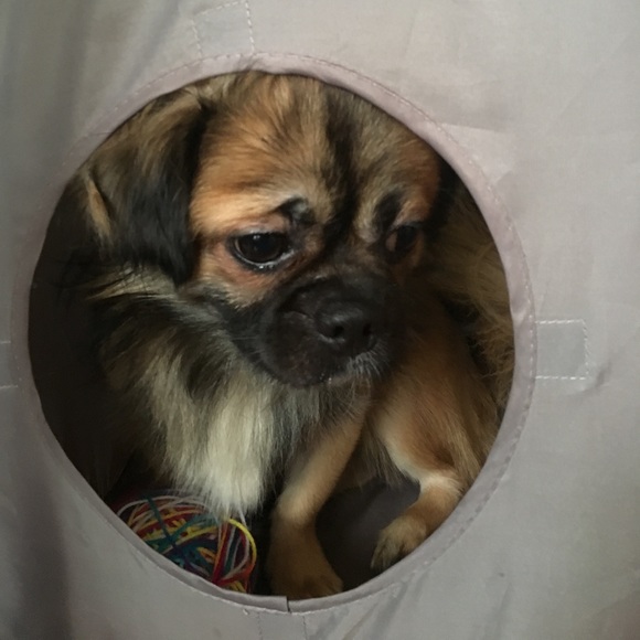 I'm Sarah your usual broke college student. Help. - Picture 5 of 7